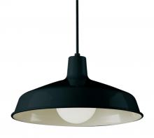 Trans Globe 1100 BK - 1 LT PENDANT W/ METAL SHADE